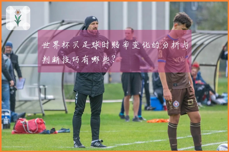 世界杯买足球时赔率变化的分析与判断技巧有哪些？