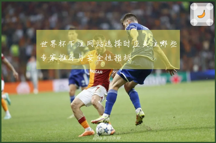 世界杯下注网站选择时应关注哪些专家推荐与安全性指标