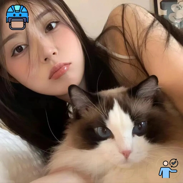 用户提问